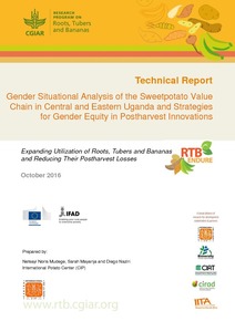 Gender situational analysis of the sweetpotato value chain in Central and Eastern Uganda and strategies for gender equity in postharvest innovations.