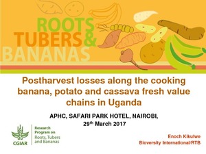 Postharvest losses along the cooking banana, potato and cassava fresh value chains in Uganda.