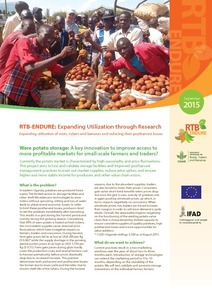 Ware potato storage: A key innovation to improve access to more profitable markets for small-scale farmers and traders?
