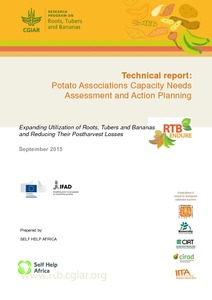 Technical report: Potato associations capacity need assessment and action planning
