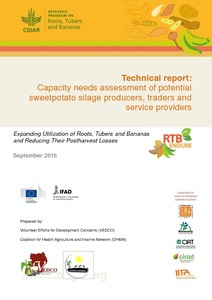 Technical Report: Capacity needs assessment of potential sweetpotato silage producers, traders and service providers.
