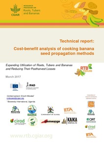 Technical report: Cost-benefit analysis of cooking banana seed propagation methods