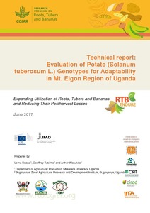 Technical Report: Evaluation of potato (Solanum tuberosum L.) genotypes for adaptability in Mt. Elgon Region of Uganda