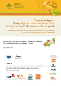 Technical Report: Market opportunities and value chain analysis of fresh cassava roots in Uganda.