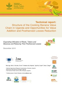 Technical report: Structure of the cooking banana value chain in Uganda and opportunities for value addition and postharvest losses reduction
