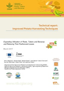 Technical report: Improved potato harvesting techniques.