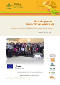 Workshop report: RTB inception workshop.