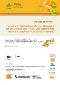 Review and validation of gender strategies for the banana and potato sub-projects and training in engendered business planning.