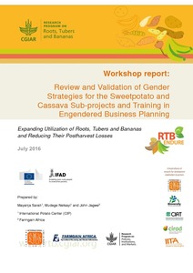 Review and validation of gender strategies for the sweetpotato and cassava sub-projects and training in engendered business planning.