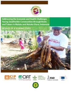 Addressing the economic and healts challenges facing smallholder communities through roots and tubers in Maluku and Maluku Utara, Indonesia - results of a scoping study.