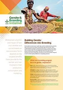 CGIAR Gender and Breeding Initiative Flyer.