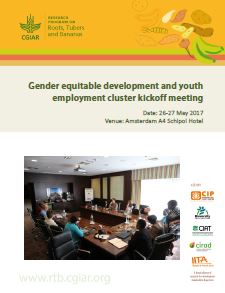 Gender equitable development and youth employment cluster kickoff meeting. Workshop Report