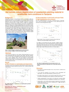 Net tunnels reduce degeneration of sweetpotato planting material in smallholder farm conditions in Tanzania.