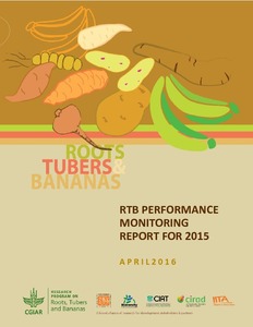 RTB Performance Monitoring Report 2015.