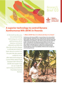 A superior technology to control Banana Xanthomonas Wilt (BXW) in Rwanda