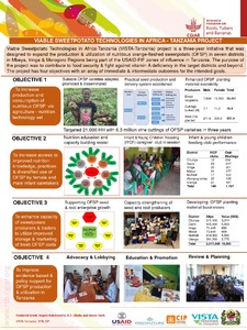 Viable sweetpotato technologies in Africa - Tanzania project