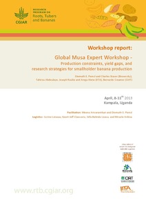 Global Musa Expert Workshop (8-11 April 2013, Kampala, Uganda).