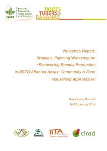 Recovering banana production in BBTD affected areas: Community & farm household approaches (Bujumbura, Burundi, 20-25 Jan 2014).