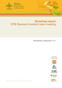 RTB Research leaders team meeting (Annual Meeting, Montpellier, September 2013).