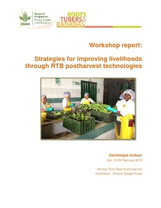 Strategies for improving livelihoods through RTB postharvest technologies (18-22 February 2013, Cali, Colombia).