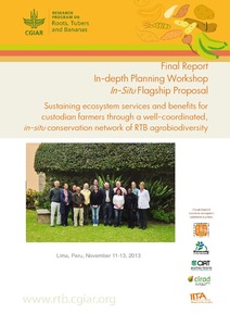 Sustaining ecosystem services and benefits for custodian farmers through a well-coordinated, in-situ conservation of RTB agrobiodiversity - Planning Workshop (11-13 Nov 2013, Lima, Peru).