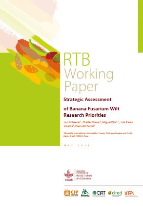 Strategic assessment of banana fusarium wilt research priorities.