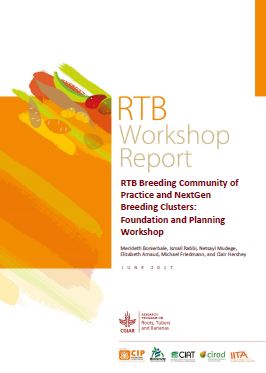 RTB Breeding community of practice and NextGen breeding clusters: foundation and planning workshop