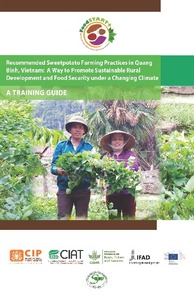 Recommended Sweetpotato Farming Practices in Quang Binh, Vietnam: A Way to Promote Sustainable Rural Development and Food Security under a Changing Climate. A Training Manual.