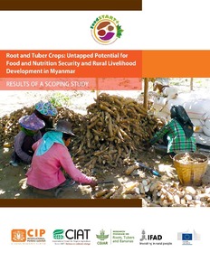 Root and tuber crops: Untapped potential for food and nutrition security and rural livelihood development in Myanmar. Results of a scoping study.