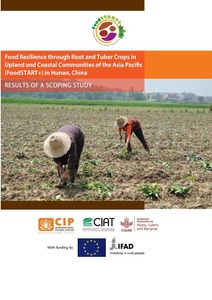 Root and tuber crops for food security and income generation in Hunan, China: results of a scoping study