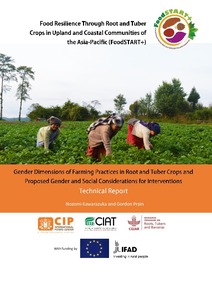 Gender dimensions of farming practices in root and tuber crops and proposed gender and social considerations for interventions. Technical report.