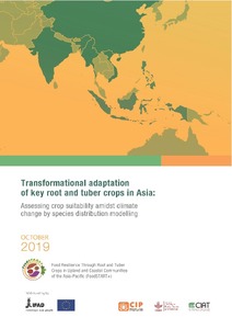 Transformational adaptation of key root and tuber crops in Asia using species distribution modelling to assess crop suitability under progressing climate change