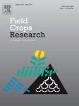 Performance of the SUBSTOR-potato model across contrasting growing conditions.