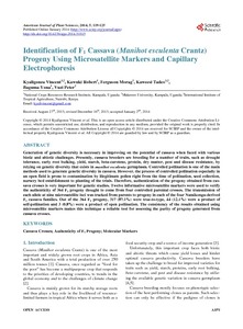 Identification of F1 cassava (Manihot esculenta Crantz) progeny using microsatellite markers and capillary electrophoresis