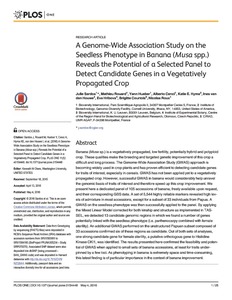 A genome-wide association study on the seedless phenotype in banana (Musa spp.) reveals the potential of a selected panel to detect candidate genes in a vegetatively propagated crop