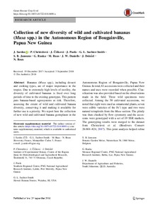 Collection of new diversity of wild and cultivated bananas (Musa spp.) in the Autonomous Region of Bougainville, Papua New Guinea