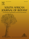 A Cassava vein mosaic virus promoter cassette induces high and stable gene expression in clonally propagated transgenic cassava (Manihot esculenta Crantz)