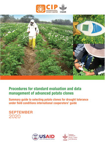 Procedures for standard evaluation and data management of advanced potato clones. Summary guide to selecting potato clones for drought tolerance under field conditions international
cooperators’ guide