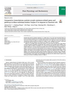 Comparative transcriptome analysis reveals resistance-related genes and pathways in Musa acuminata banana 'Guijiao9' in response to Fusarium wilt