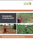 Sweetpotato cropping guide