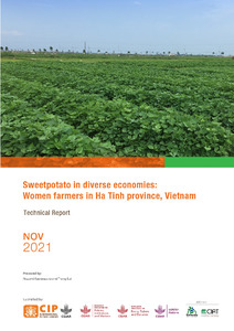 Sweetpotato in diverse economies: Women farmers in Ha Tinh province, Vietnam