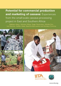 Potential for commercial production and marketing of cassava: experiences from the small-scale cassava processing project in East and Southern Africa