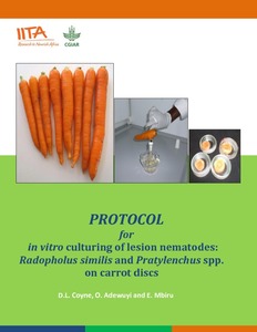 Protocol for in vitro culturing of lesion nematodes: Radopholus similis and Pratylenchus spp. on carrot discs