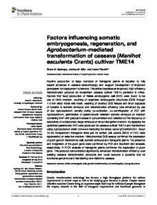 Factors influencing somatic embryogenesis, regeneration, and Agrobacterium-mediated transformation of cassava (Manihot esculenta Crantz) cultivar TME14