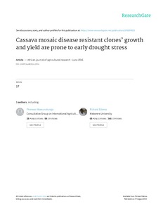 Cassava mosaic disease resistant clones’ growth and yield are prone to early drought stress