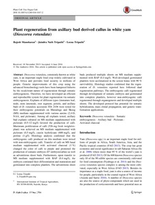 Plant regeneration from axillary bud derived callus in white yam (Dioscorea rotundata)
