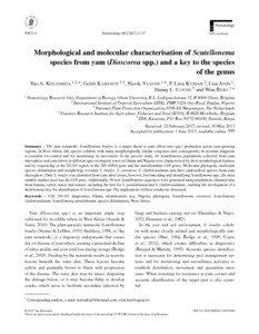 Morphological and molecular characterisation of Scutellonema species from yam (Dioscorea spp.) and a key to the species of the genus