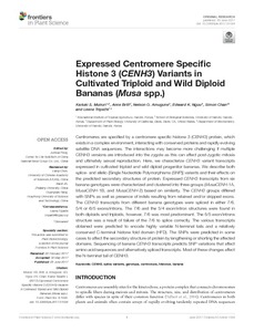 Expressed centromere specific histone 3 (CENH3) variants in cultivated triploid and wild diploid bananas (Musa spp.)