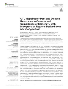 QTL mapping for pest and disease resistance in cassava and coincidence with some introgression regions derived from M. glaziovii