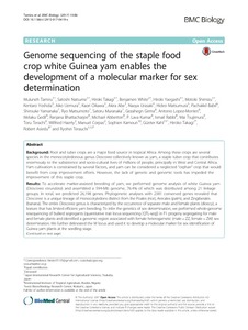 Genome sequencing of the staple food crop white Guinea yam enables the development of a molecular marker for sex determination